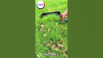 Con máy cắt cỏ như này quá tiện lợi anh em ơi #nongdan #nongnghiep #shortvideo #mientay #farming