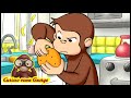 Curioso come George 🐵La Carta da Regalo  🐵Cartoni Animati per Bambini 🐵George la Scimmia