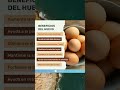 Beneficios Del Huevo #shorts