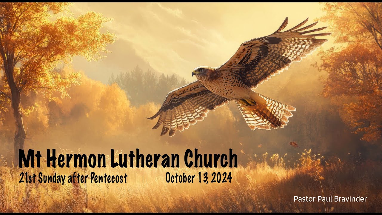 October 13th, 2024 - 21st Sunday after Pentecost - YouTube