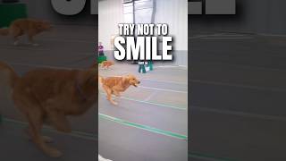 Try Not To Smile Part 34