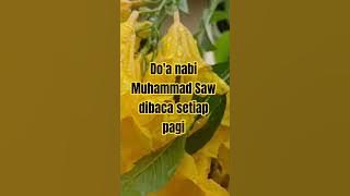 Do'a nabi Muhammad Saw dibaca setiap pagi dihari jum'at