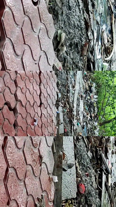 Snake Surprises Scientist with Unexpected Behavior I