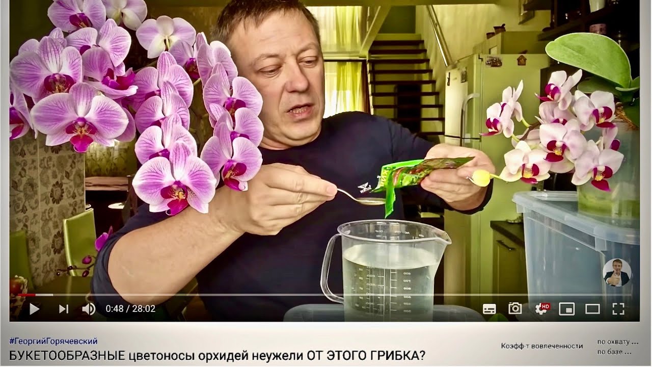 Жизнь вне орхидей