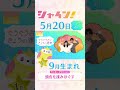 STV『シャイン！』ぐうぐう占い ラッキーアクション #shorts #stv #シャイン！ #五百住有希
