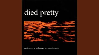 Video thumbnail of "Died Pretty - Gone"