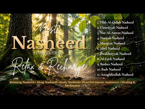 Beautiful Nasheed Collection | Peaceful Islamic Music | Relax & Reflect