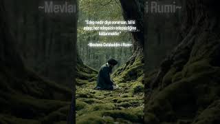 Edep nedir ?#edep #ahlak #güzelahlak #tasavvufsohbetleri #iman #mevlana #mevlanasözleri #sabir