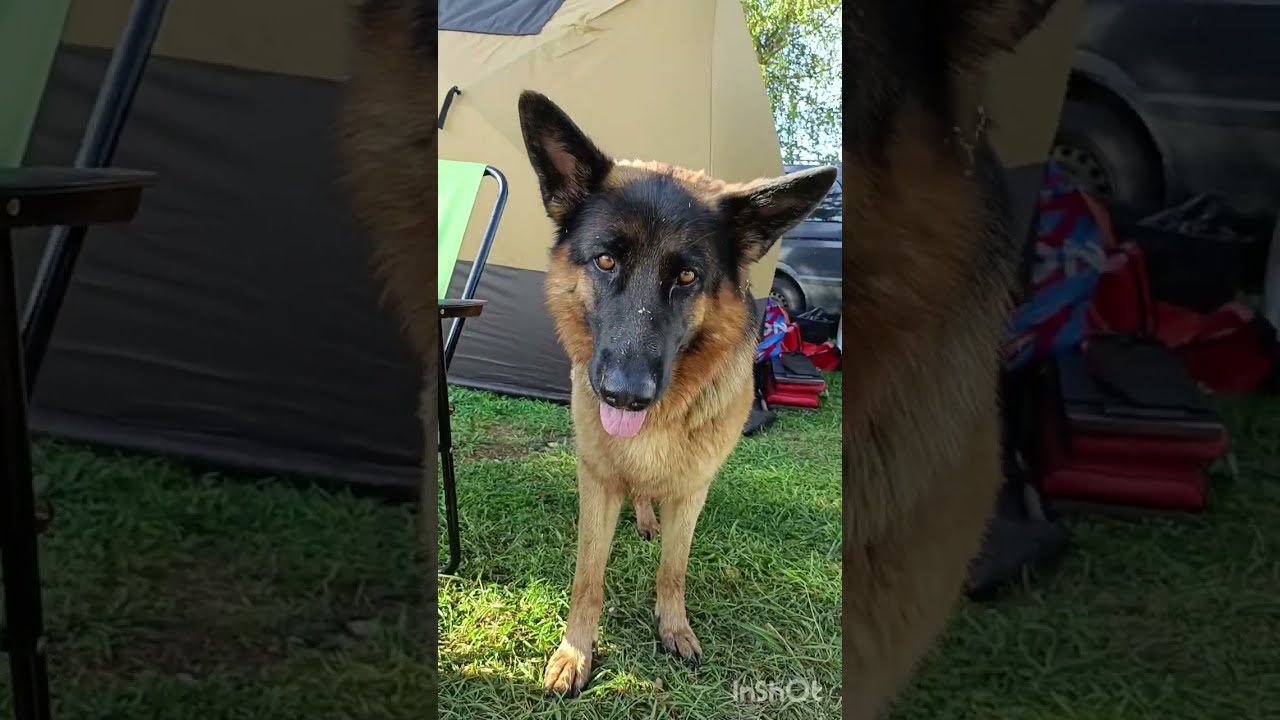 Обзор кемпинга Три берега. Рыбинское водохранилище. Путешествие на машине. Сентябрь 2024