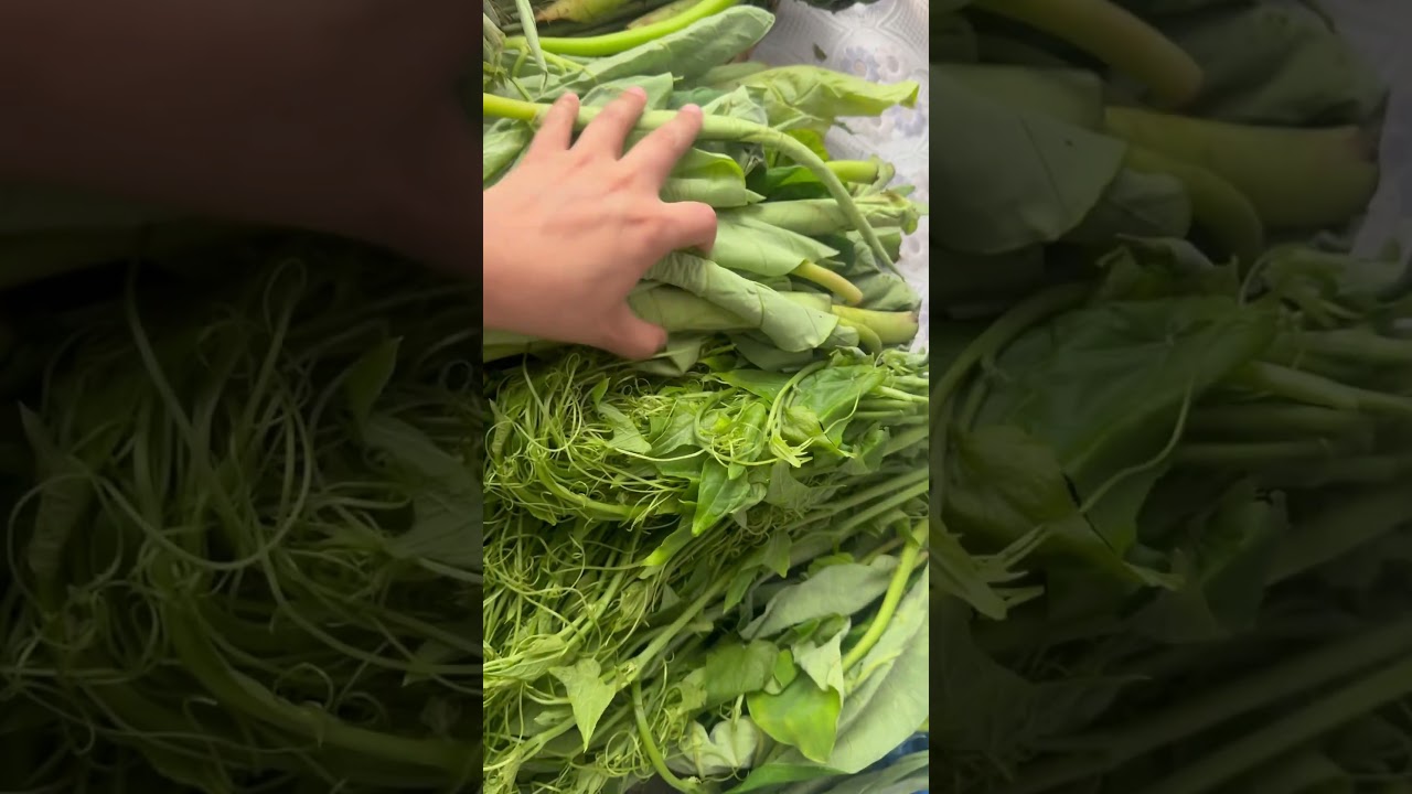 #nature #love #village##villagevlog #villagefood #villagecooking #food #