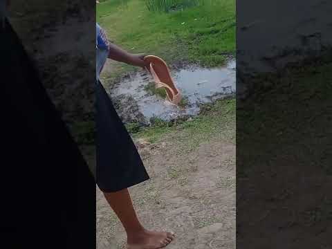 Woiii Imekatikia Njiani Trending Viralchallenge Youtubeshorts Foryou Funny Shorts