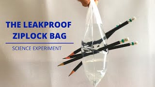 THE LEAKPROOF ZIPLOCK BAG - Science Experiment | How Does The Leakproof Bag Work | Explained