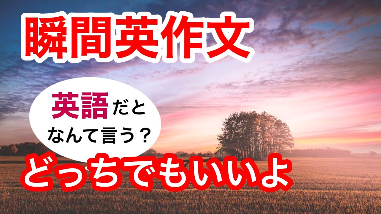 瞬間英作文262　英会話「どっちでもいいよ」英語リスニング聞き流し