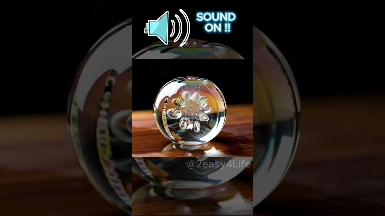 Anyone know what is this ?? 