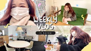  weekly vlog in korea. ปิดเทอมที่เกาหลี/เที่ยวฮงแด ไปโนแรบัง/กินโอมากาเสะ/ทำสวยกังนัม | Babyjingko