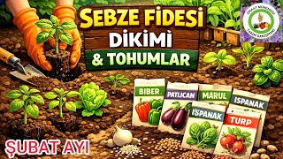 Şubat’ta Hangi̇ Sebze Eki̇li̇r❓🌱Soğukta Büyüyen 12 Güçlü Tohum❗Sebze Tohumu Ekmenin Zamanı Püf Noktası