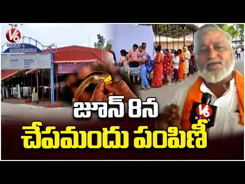 All Arrangements Being Held Grandly For Fish Medicine Distribution On June 8 | V6 News - V6NEWSTELUGU
