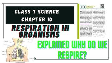 Class 7 Science Ch-10 Respiration in oraganisms |Explained Why do we respire?| Fun & Study with me