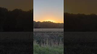 Sunset Walk, in the Countryside Fields of England.  Full Walk on my channel.