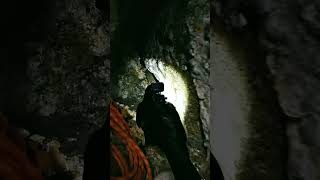 Bird POV Hidden Cliff Nest Colony Discovered Inside a Mountain Cave! #goproanimals #ai #aigenerated