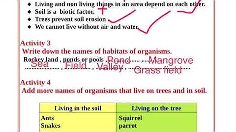 CLASS 4|TODAY ENGLISH MEDIUM |WORKSHEET