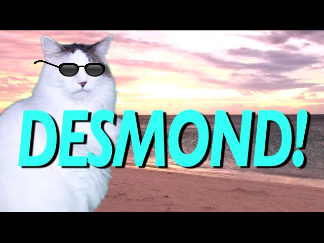 HAPPY BIRTHDAY DESMOND! - EPIC CAT Happy Birthday Song