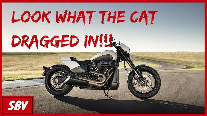 What Do You Think Of The Harley FXDR 114 - Harley Davidson
