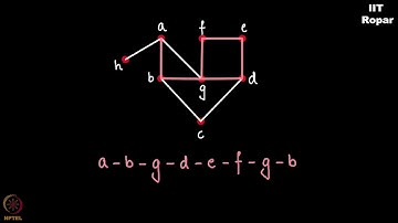 Examples of walk, trail and path