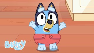 Baby Race | Bluey Season 2 | Bluey