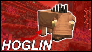 How To Tame Hoglins In Minecraft 1.16