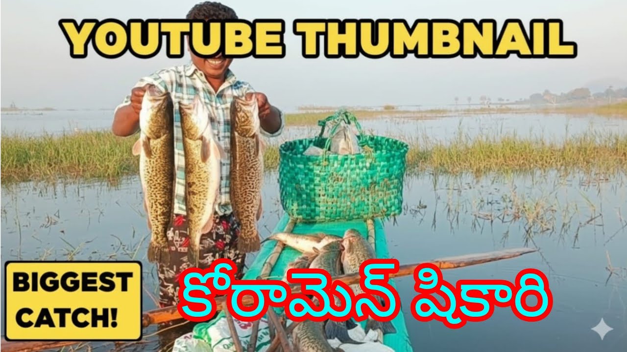 కోరమే షికారి గాలాల కు🐬yatala shankar vlaogs యాటల శంకర్ ఫిషింగ్ వీడియో🐟