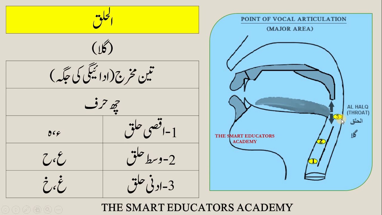 Tajweed Rules Chart