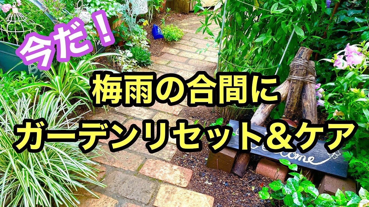 Enjoy gardening!] Pluck and prune! Don't hesitate! This video will