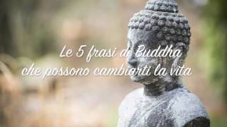 Le 5 Frasi Di Buddha Che Ti Cambieranno La Vita Youtube