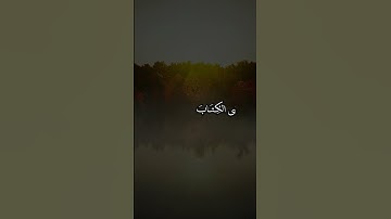 تلاوة جميله للقارئ سعيد الخطيب
