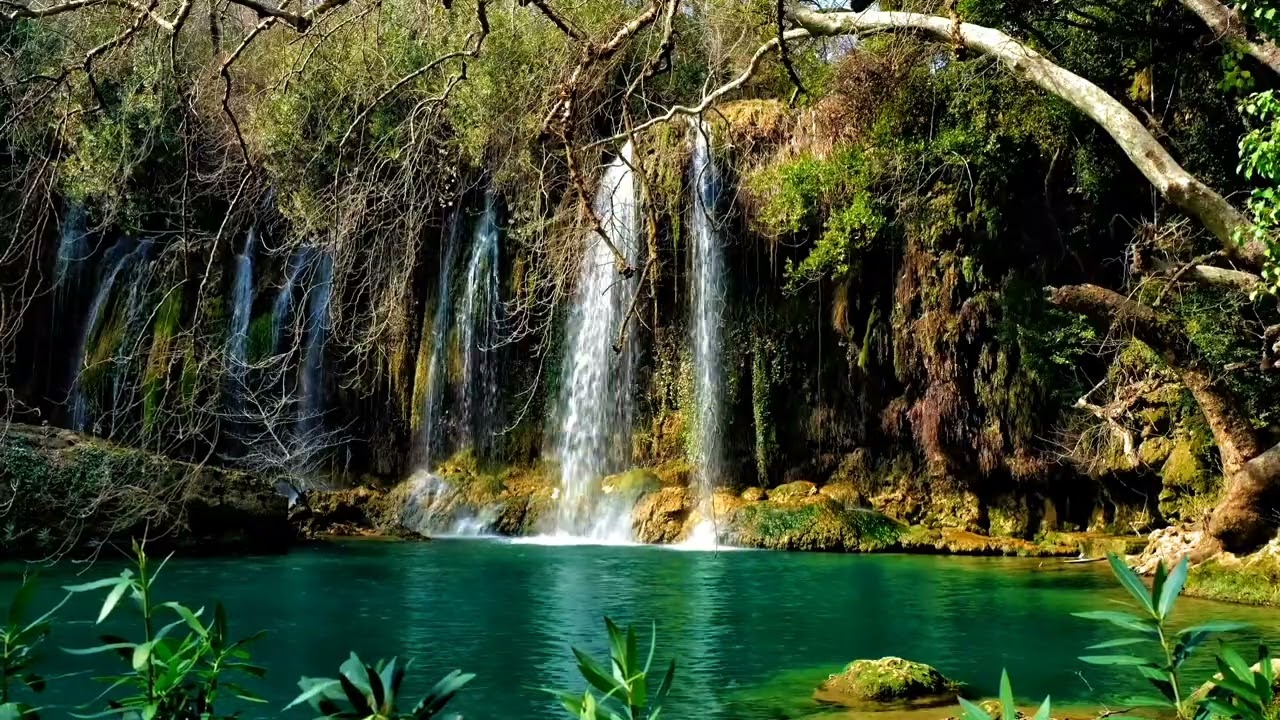 sonidos Relajantes  para un sueño profundo canto de pajaritos y agua fluyendo calmantes anti estrés 