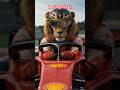 Car racing#Shorts#LionDriver