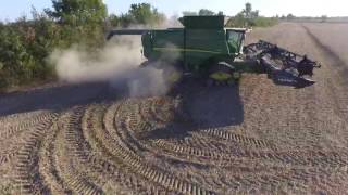 2016 bean harvest
