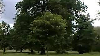 42 Mifive Direction Albanian2.Mp4