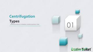 Sucrose Density Gradient Centrifugation
