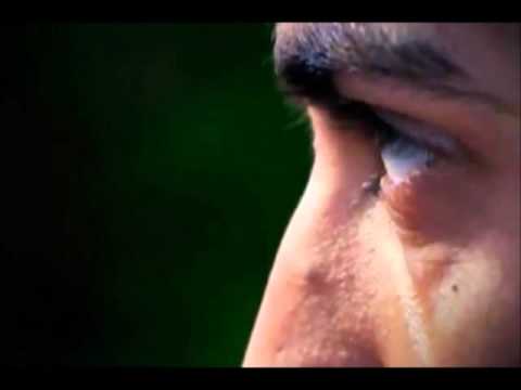 لا تجعل الله أهون الناظرين إليك 