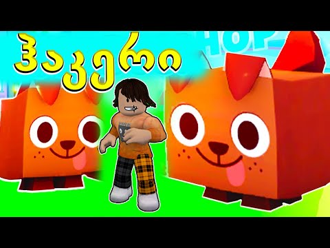 ჰაკერის სერვერზე შევედი და ყველაზე მაგარი ფეტები ავიღე Pet Simulator X Roblox ქართულად