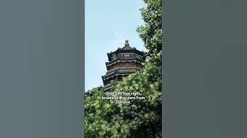 “Stop Wasting Time – Use These 3 Free AI Tools in 2025” #facts #ai