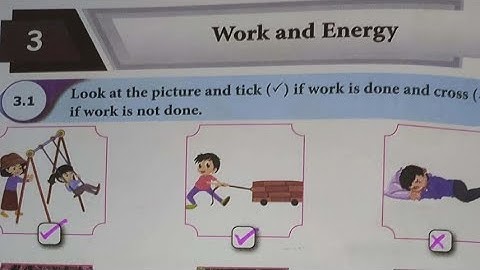 4th std science term 1 unit 3 workbook answers | EE 4th std Workbook Answers 