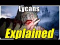 The Cadou Parasite Lycans from Resident Evil Village ( 8) Explored | How the hosts rejects the Mold