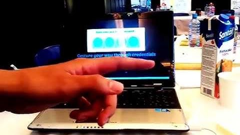 Hackaton Techsylvania 2015 - Leap Motion Gesture Based Authentication System (Pitech+Plus)