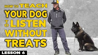 Train Your Dog without Treats