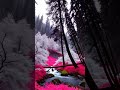 Mysterious Pink Forest in Japan 🌸❄ #shorts
