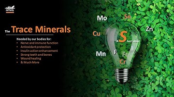 Essential Trace Minerals Needed by Our Bodies | What are they? What do they do? | a short video