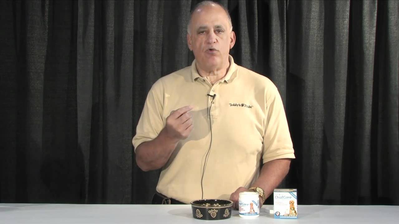 Teddy's Pride YouTube